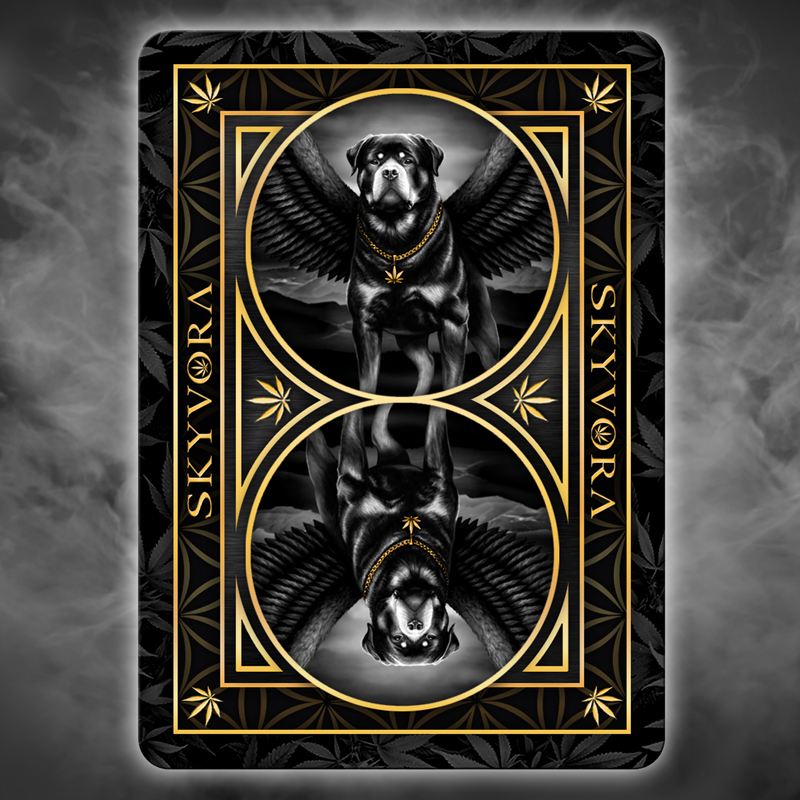 Coming Soon Playing Cards Back web.jpg