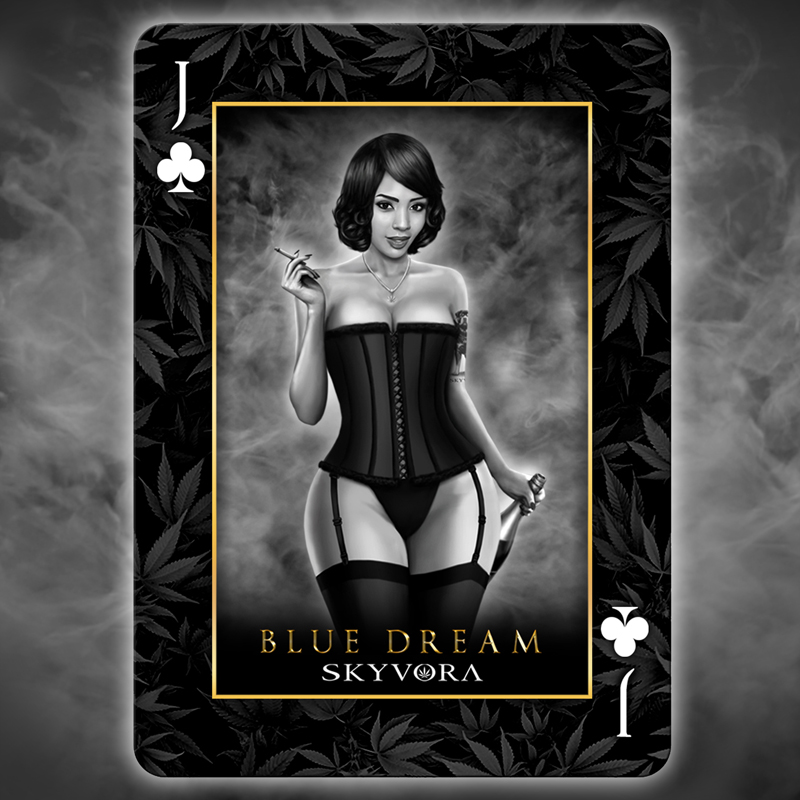 Coming Soon Playing Cards Blue Dream web.jpg