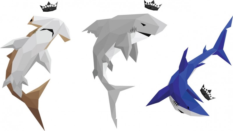 spade sharks.jpg