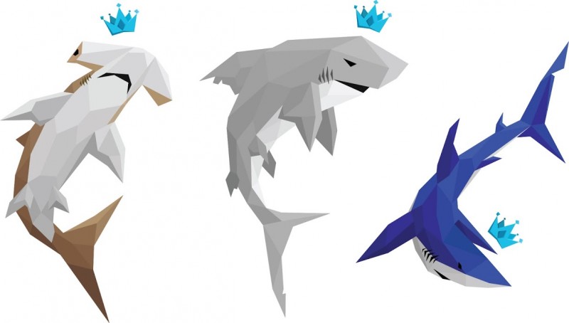 diamond sharks.jpg