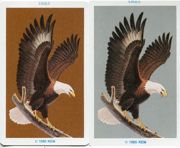 eagle.jpg