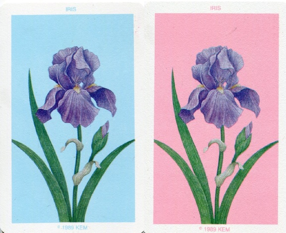 iris.jpg