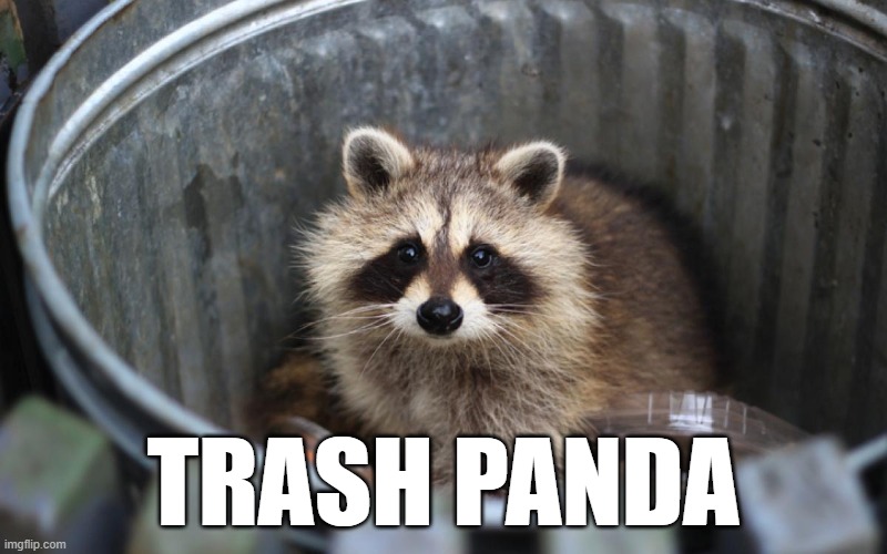 TrashPanda.jpg