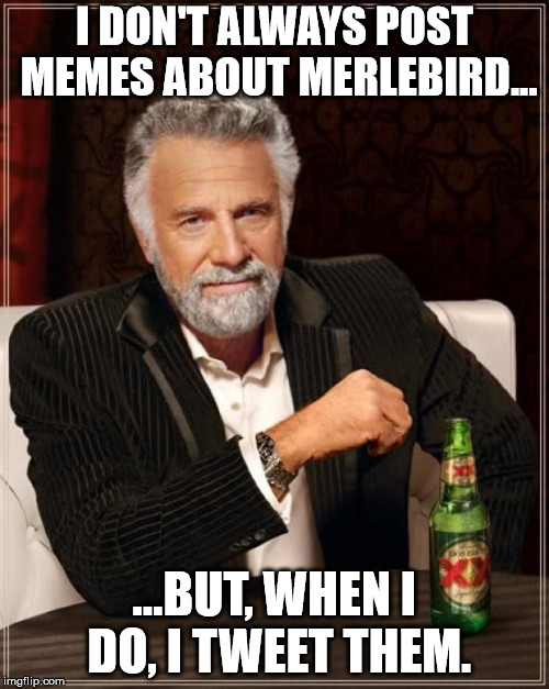 Merlebird meme.jpg