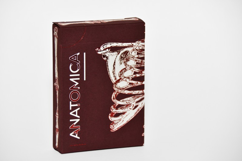 Anatomica Standard-small.jpg